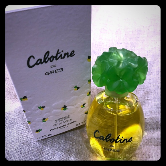 chanson parfum dolce gabbana